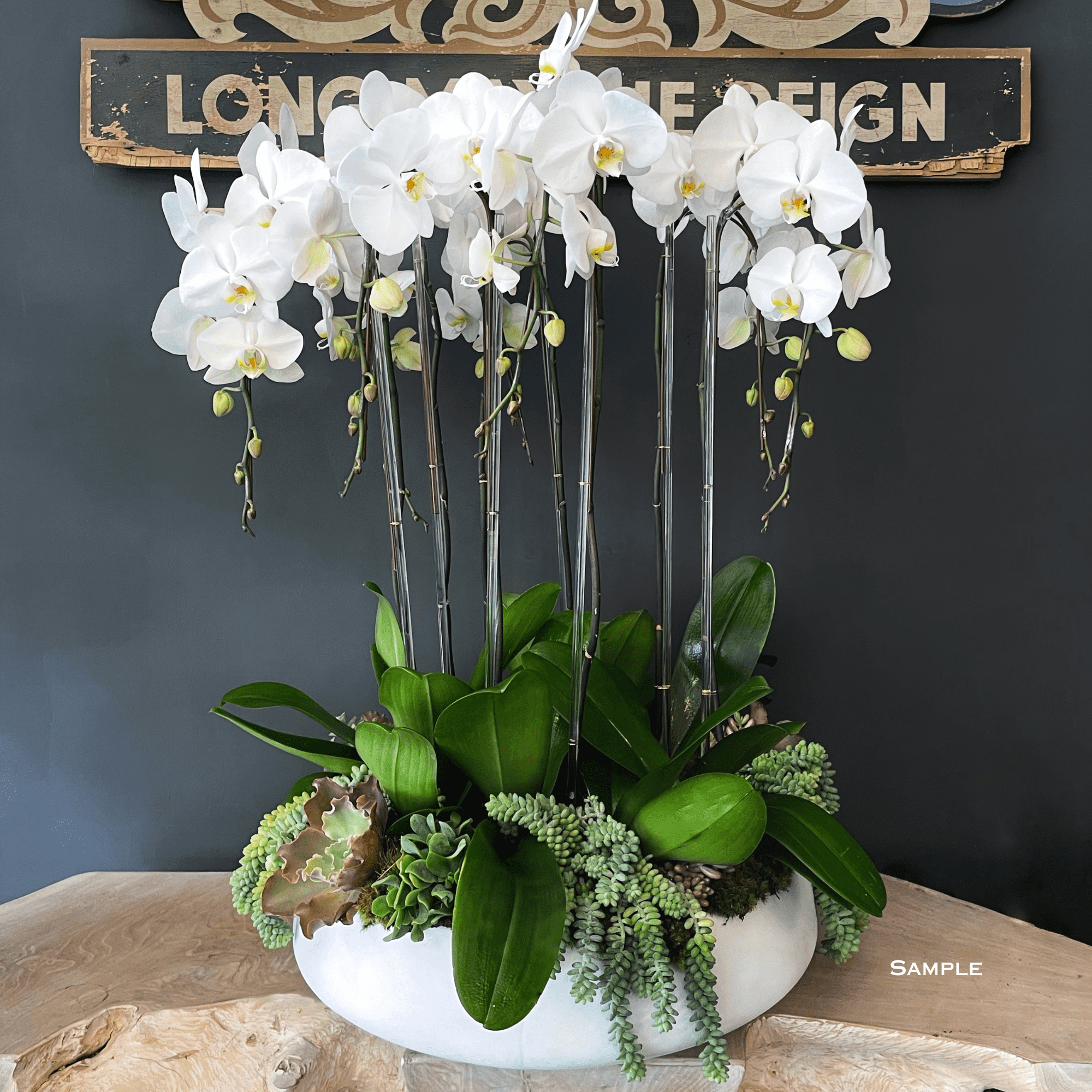 paint lily white Flower Painting - White Lily